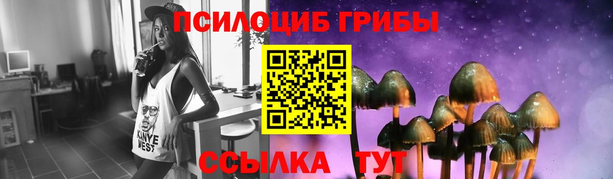 Псилоцибиновые грибы прущие грибы  Вход с VPN  Снежинск  Галлюциногенные грибы Psilocybe 